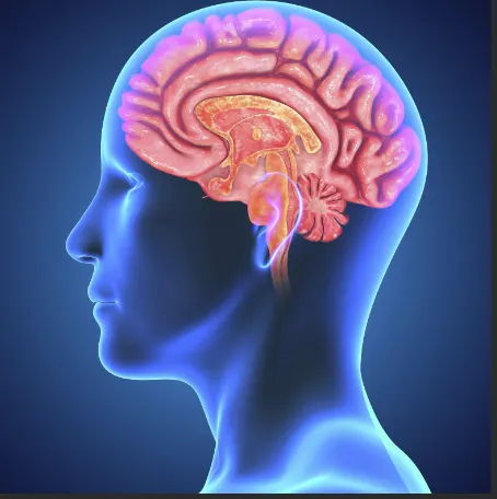 Neurocept Brain Health